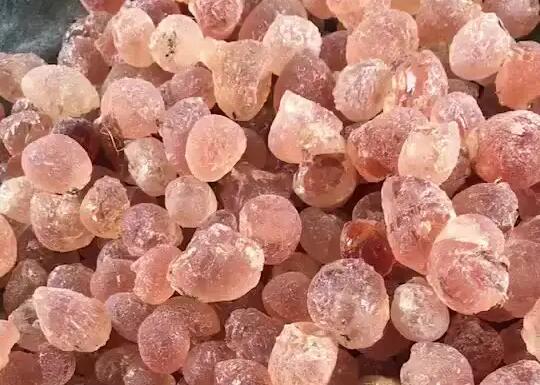 天然膠裝物質(植物膠) 天然膠裝物質(植物膠)